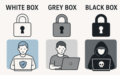 White Box. Grey Box. Black Box.